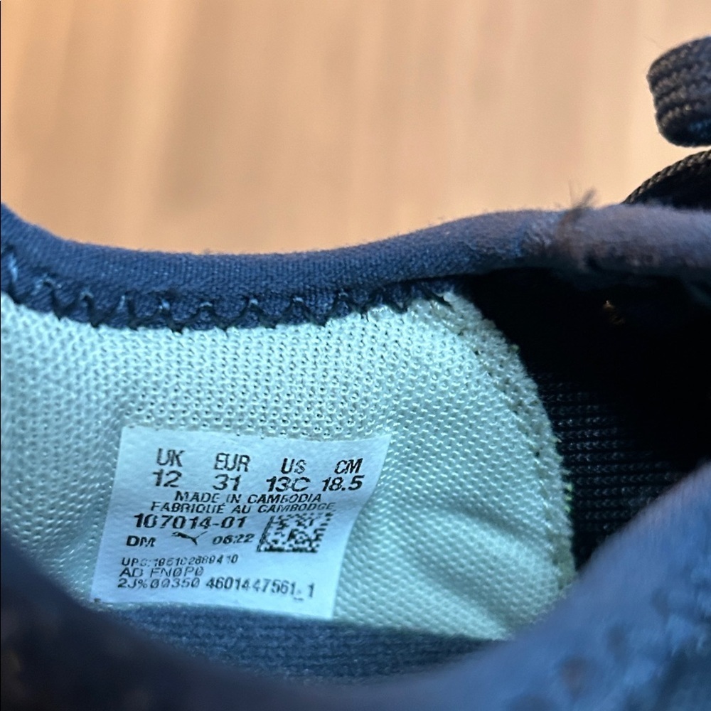 Puma with Vibrant Yellow Accents - Picture 8 of 8